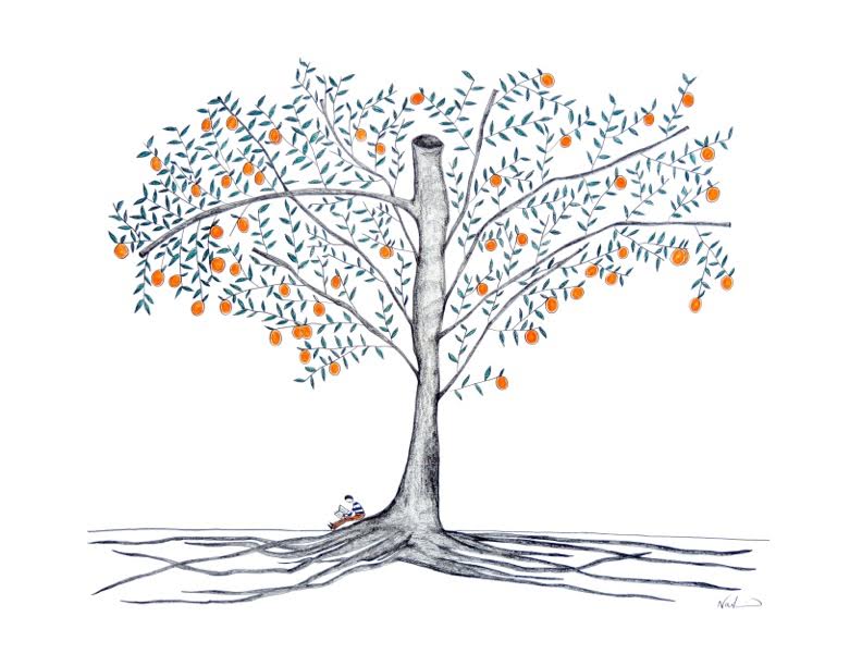 Evan and the Orange Tree