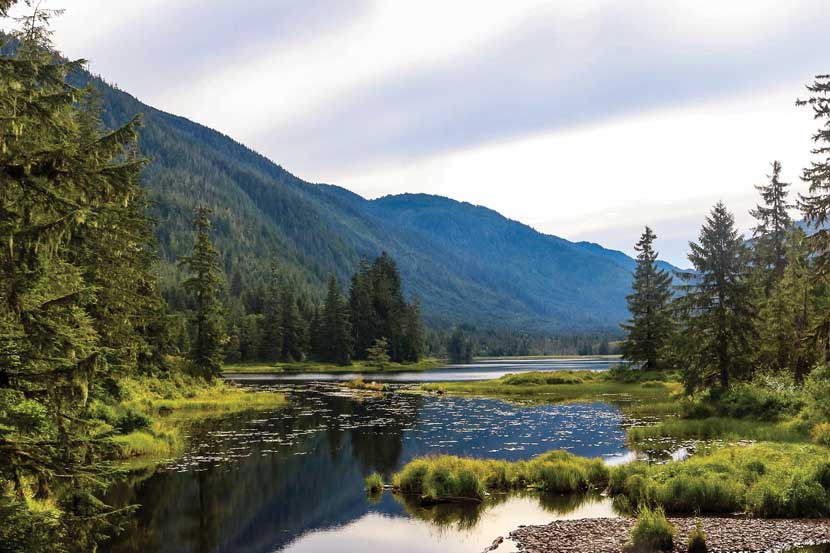 Tongass National Forest, US