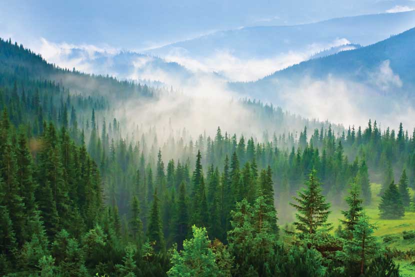 Carpathian Mountains, Romania